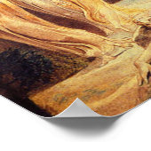 ウィリアム・ブレイク・ジェイコブのラダーポスター ポスター (角)