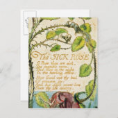 ウィリアム・ブレイク |病気のバラ、Songs of Innoc ポストカード (正面/裏面)