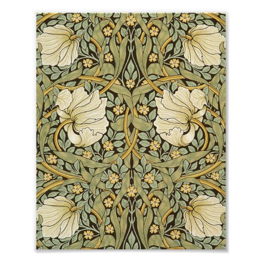 ウィリアム・モリスパーペネルヴィンテージプレラファエリート フォトプリント (正面)