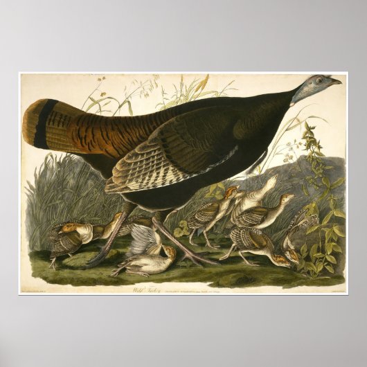 ウィリアム・リザース・ワイルドターキー ポスター (正面)