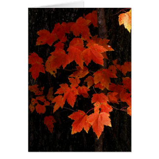 ウィリアムO'Brienのかえでの葉