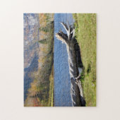 ウィリーの池、サコ川、北コンウェイ、NH. ジグソーパズル (縦)