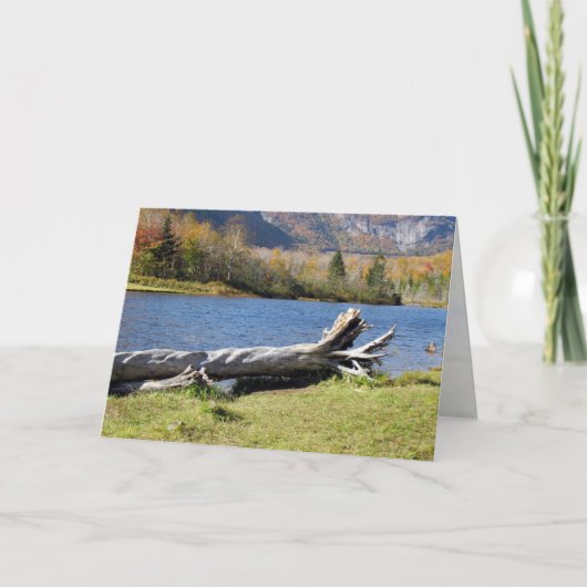 ウィリーズポン、サコ川、ノースコンウェイ、NH カード (正面)