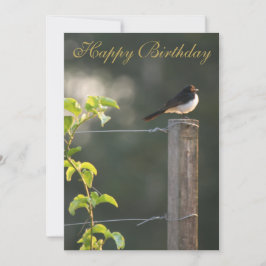 ウィリーワグテールハッピーバースデー