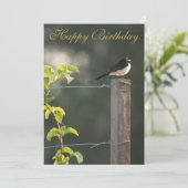 ウィリーワグテールハッピーバースデー (スタンド正面)