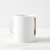 ウィルクスバレPa。 マグ (正面左)