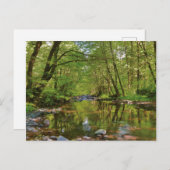 ウィルソン川の景色 ポストカード (正面/裏面)