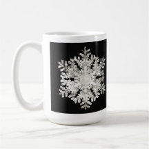 ウィルソン・ベントリーの「Stellar Snowflake No. 586」
