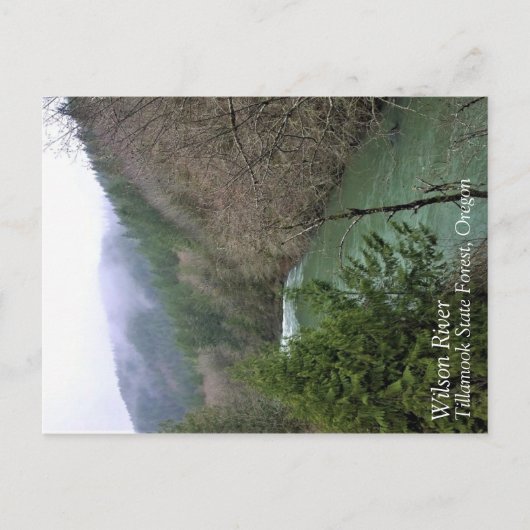 ウィルソン・リバー ポストカード (正面)