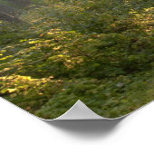 ウィルダネスドライブ,イタスカ州パーク, ポスター (角)