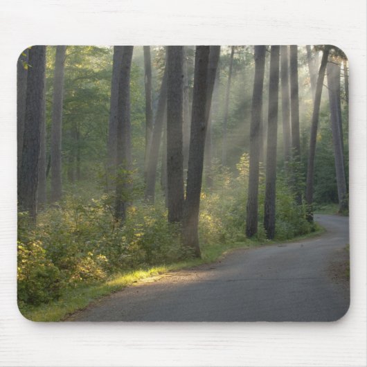 ウィルダネスドライブ、イタスカ州パーク、 マウスパッド (正面)