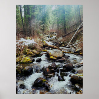 ウィルダネスプリント ポスター