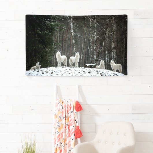 ウィルダネスポーラウルフ 横断幕 (インサイチュ)