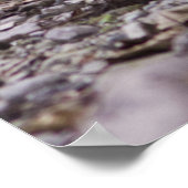 ウィルダネスロバート・フロスト引用文ポスター – 大 ポスター (角)