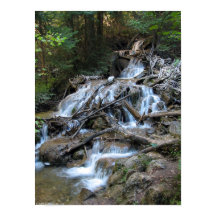 ウィルダネス滝