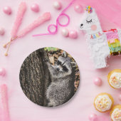 ウィルダネワイルドラクーン ペーパープレート (パーティー)