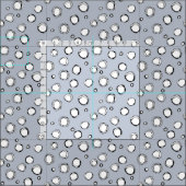 ウィルダードットモノ ファブリック (タイル)