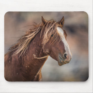 ウィルダー マウスパッド