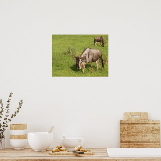 ウィルデベスト ポスター (キッチン)