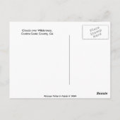 ウィルドレス上の雲 ポストカード (裏面)