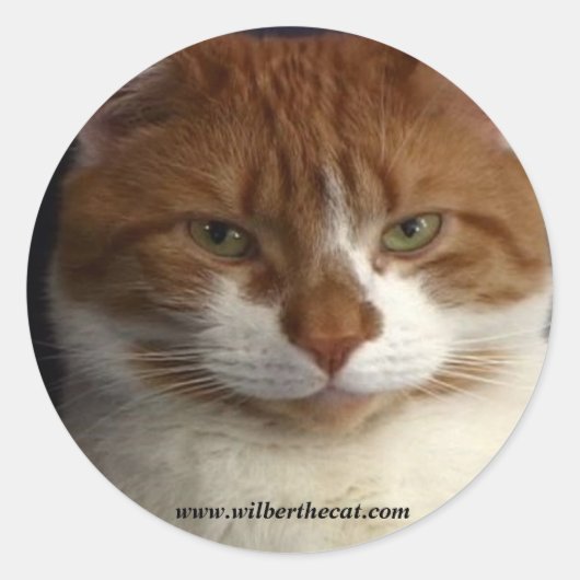 ウィルバーのシール ラウンドシール (正面)