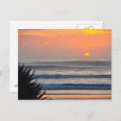 ウィルバーバイザシーパームサンライズフロリダポストカード ポストカード (正面/裏面)