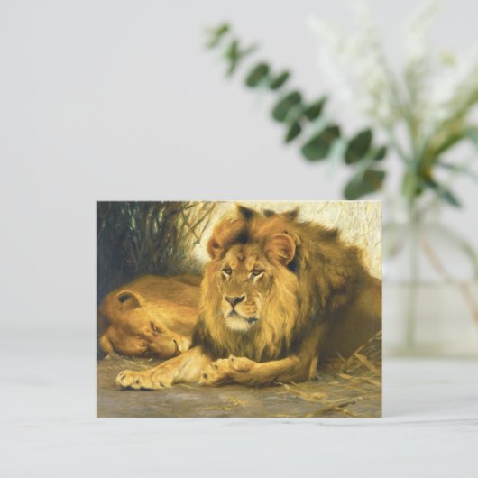 ウィルヘルム・クハネルトによる休息用ライオンズ ポストカード (スタンド正面)