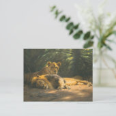 ウィルヘルム・クハルトによるライオンズデン ポストカード (スタンド正面)