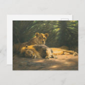 ウィルヘルム・クハルトによるライオンズデン ポストカード (正面/裏面)