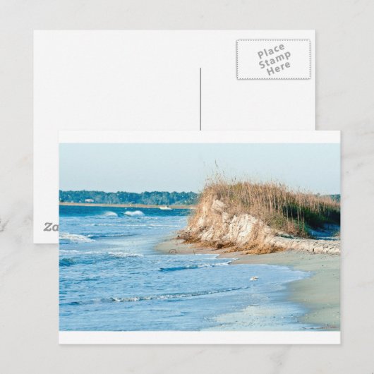 ウィルミントンC ポストカード (正面/裏面)