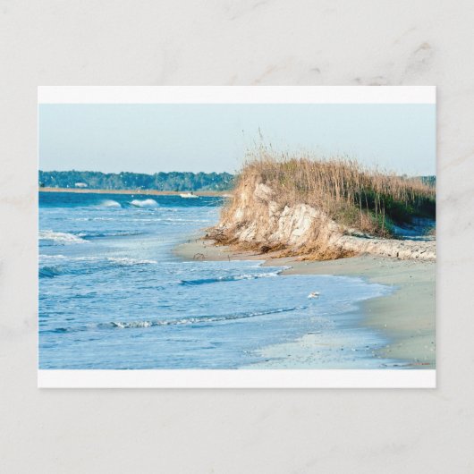 ウィルミントンC ポストカード (正面)