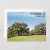 ウィルミントンNorth Carolina Airlie Oak Tree ポストカード (正面/裏面)