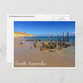 ウィルンガビーチ ポストカード (正面/裏面)