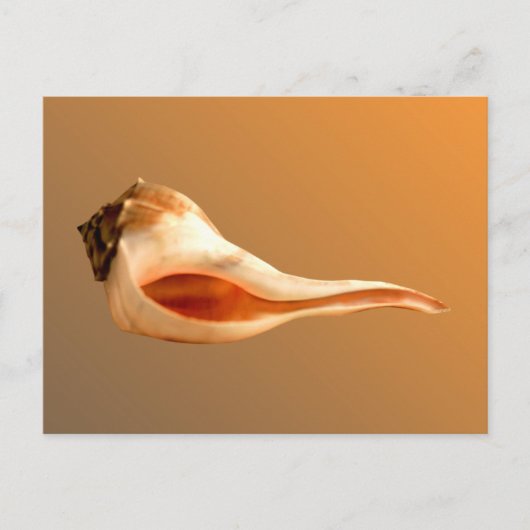 ウィル離れクターン ポストカード (正面)