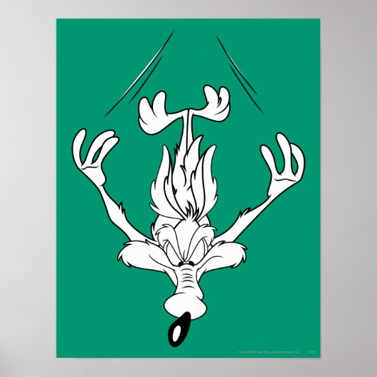 ウィル・E・コヨーテ・ダイビング爆弾 ポスター (正面)