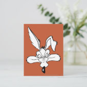 ウィル・E・コヨーテ™ハッピーヘッドショット ポストカード (スタンド正面)