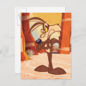 ウィル・E・コヨーテ™両腕が交差 ポストカード (正面/裏面)