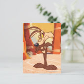 ウィル・E・コヨーテ™両腕が交差 ポストカード (スタンド正面)