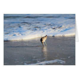 ウィレットの面白い発見