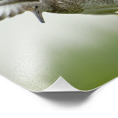 ウィレットプリント フォトプリント            (角)