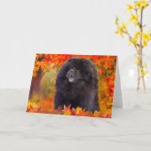 ウィレム・アートカード カード (黄色い花)