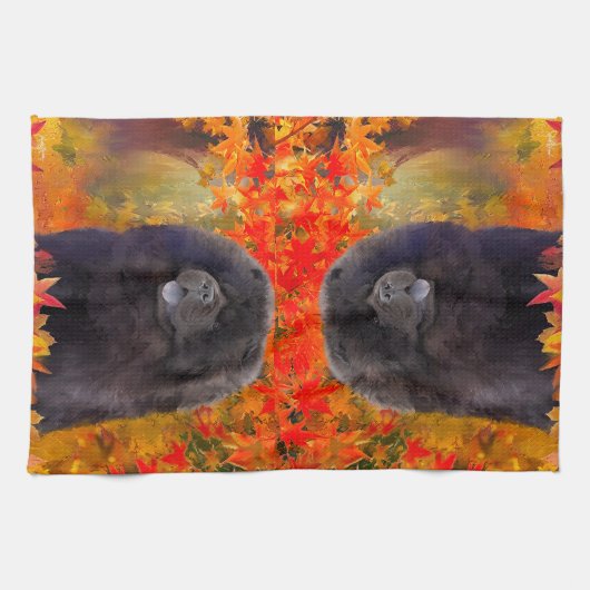 ウィレム – キッチンタオル (横)