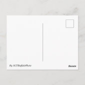 ウィローの木のポストカード ポストカード (裏面)