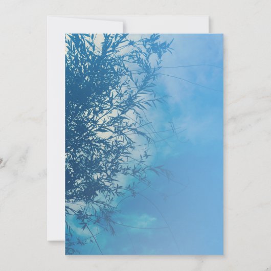 ウィローイーサリードリーミー空の日を保存 招待状 (裏面)