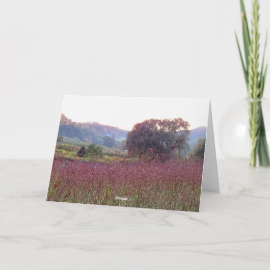 ウィローツリーカ空白のード サンキューカード (裏面)