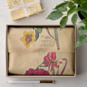 ウィローハーブバイシャルルマッキントッシュ 薄葉紙 (ギフト)