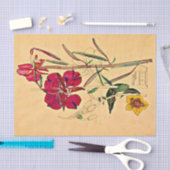 ウィローハーブバイシャルルマッキントッシュ 薄葉紙 (クラフト)