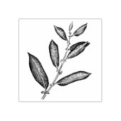 ウィローブランチ ラバースタンプ (インプリント)