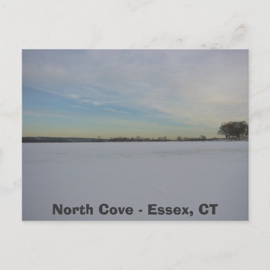 ウィローポイントコーブ、ノースコーブ – エスセックス、CT ポストカード (正面)