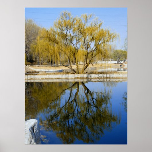 ウィロー反射 ポスター (正面)